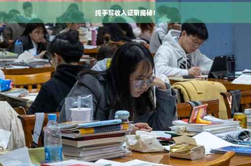 纯手写收入证明揭秘！