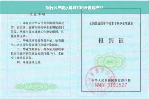 银行公户流水详细打印步骤解析??