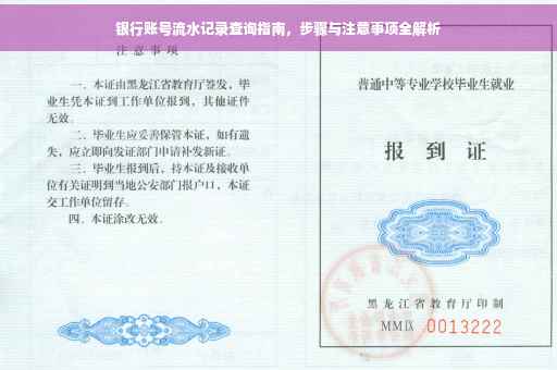 银行账号流水记录查询指南，步骤与注意事项全解析
