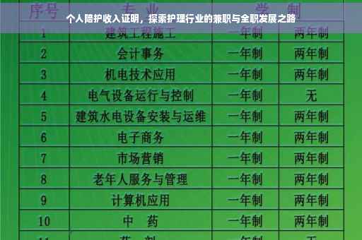 个人陪护收入证明，探索护理行业的兼职与全职发展之路