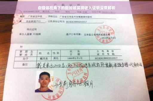 自媒体视角下的新加坡买房收入证明深度解析