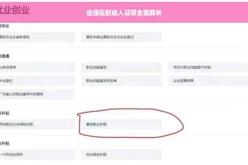 低保在职收入证明全面解析