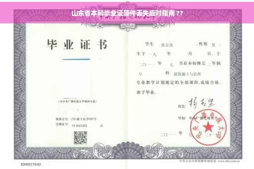山东省本科毕业证原件丢失应对指南 ??