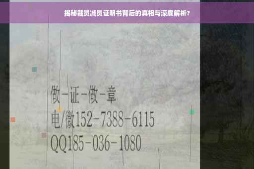 揭秘裁员减员证明书背后的真相与深度解析?
