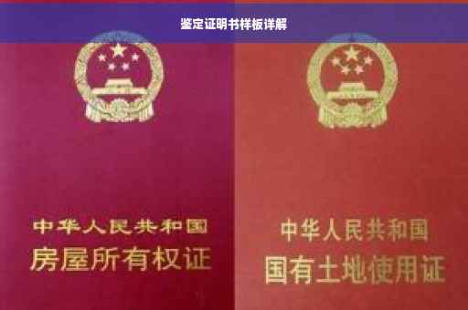 鉴定证明书样板详解