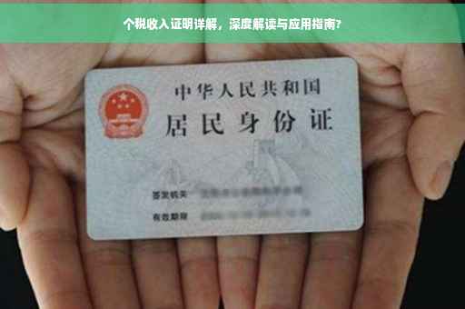 个税收入证明详解，深度解读与应用指南?