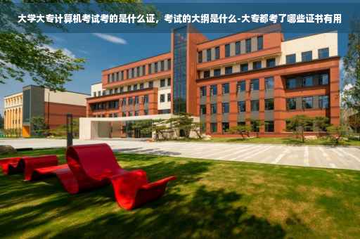 大学大专计算机考试考的是什么证，考试的大纲是什么-大专都考了哪些证书有用