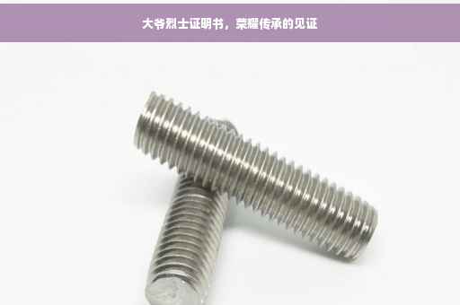 大爷烈士证明书，荣耀传承的见证