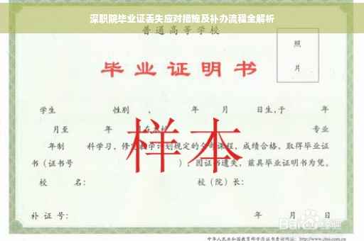 深职院毕业证丢失应对措施及补办流程全解析