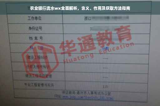 农业银行流水wx全面解析，含义、作用及获取方法指南