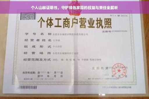 个人山林证明书，守护绿色家园的权益与责任全解析