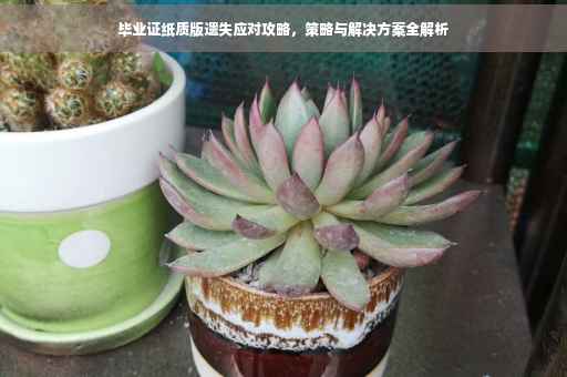 毕业证纸质版遗失应对攻略，策略与解决方案全解析