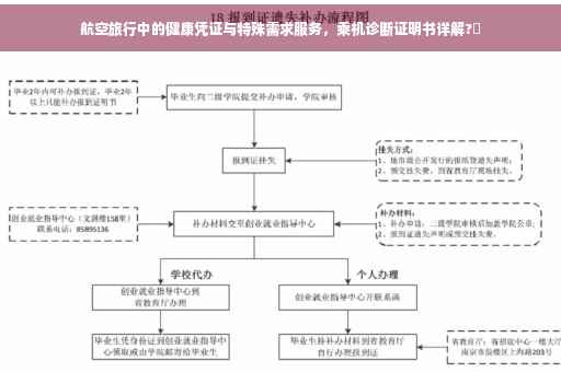 航空旅行中的健康凭证与特殊需求服务，乘机诊断证明书详解?✨