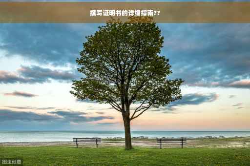 撰写证明书的详细指南??