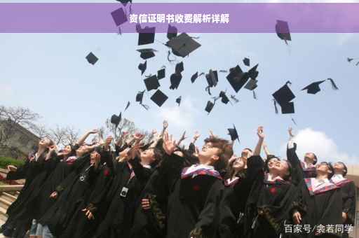 资信证明书收费解析详解