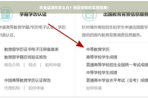毕业证遗失怎么办？找回失物的实用指南！