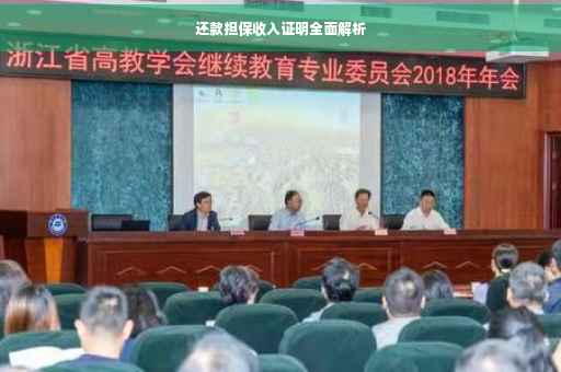 还款担保收入证明全面解析
