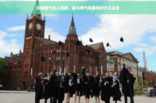 沈阳燃气收入证明，城市燃气发展的时代见证者