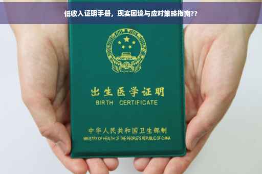 低收入证明手册，现实困境与应对策略指南??