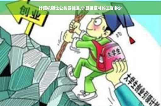 计算机硕士公务员待遇,计算机证书的工资多少