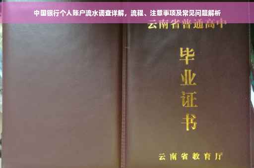 中国银行个人账户流水调查详解，流程、注意事项及常见问题解析