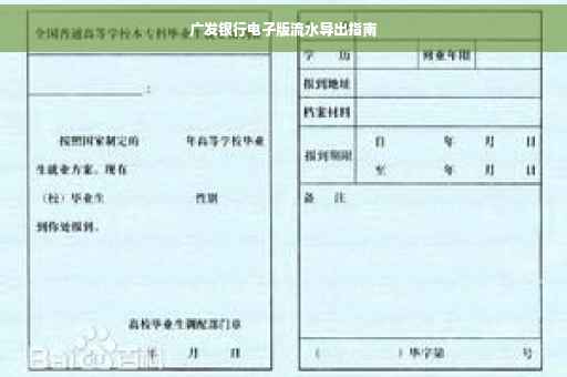 广发银行电子版流水导出指南