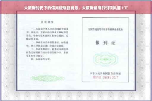 大数据时代下的信用证明新篇章，大数据证明书引领风潮 ?⚡️