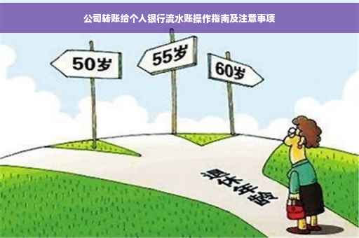 公司转账给个人银行流水账操作指南及注意事项