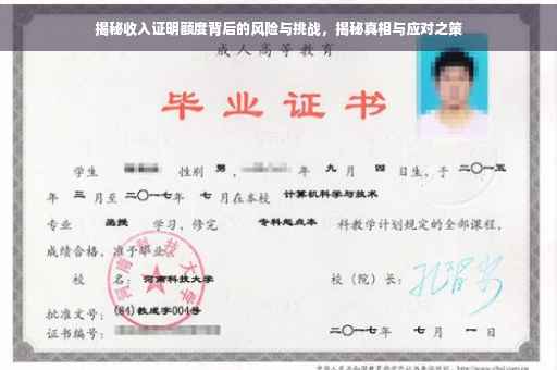 揭秘收入证明额度背后的风险与挑战，揭秘真相与应对之策