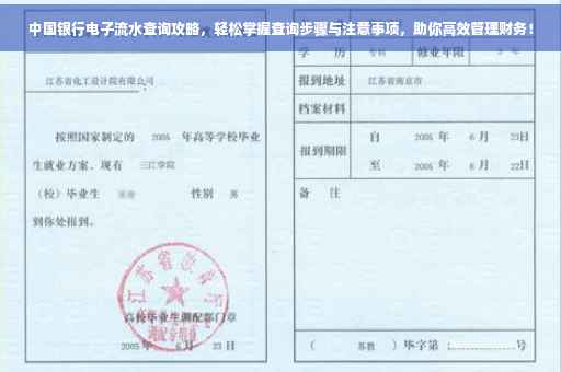 中国银行电子流水查询攻略，轻松掌握查询步骤与注意事项，助你高效管理财务！