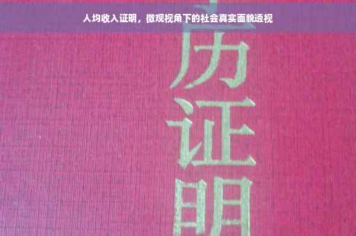 人均收入证明，微观视角下的社会真实面貌透视