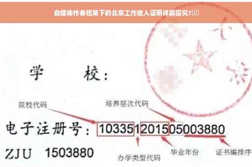 自媒体作者视角下的北京工作收入证明详解探究?⚡️