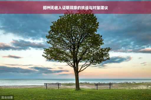 郑州无收入证明现象的挑战与对策建议