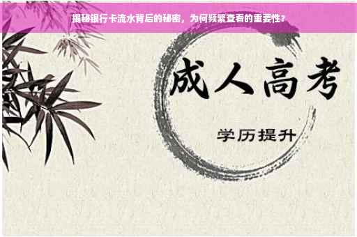 揭秘银行卡流水背后的秘密，为何频繁查看的重要性？