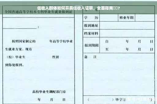 低收入群体如何开具低收入证明，全面指南⚡️?