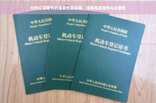 付外汇证明书的重要性及应用,详解其实用性与必要性 付外汇证明书的重要性及应用,详解其实用性与必要性