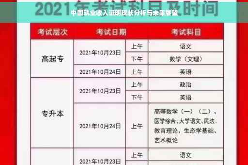 中国就业收入证明现状分析与未来展望