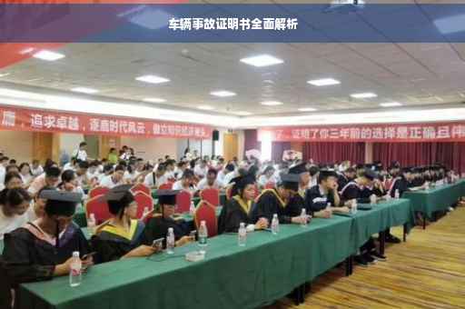 车辆事故证明书全面解析