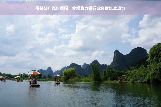 揭秘公户流水真相，合规助力银行业务增长之道??