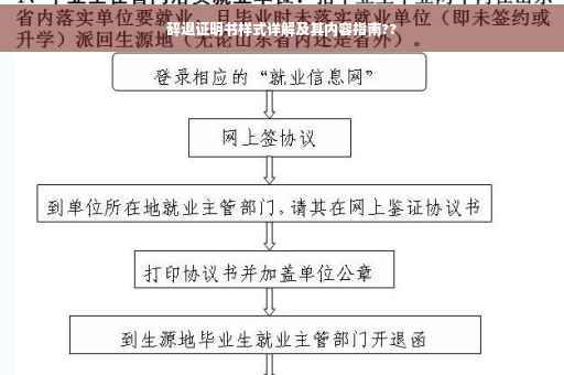 辞退证明书样式详解及其内容指南??