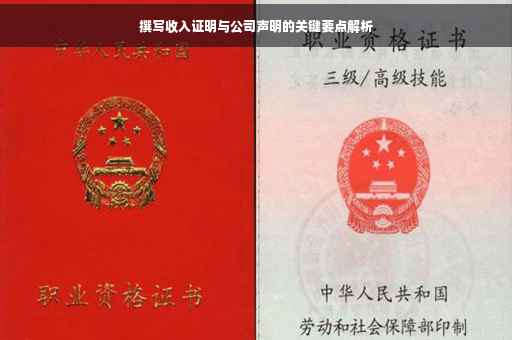 撰写收入证明与公司声明的关键要点解析