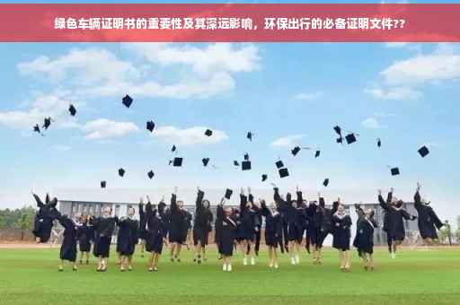 绿色车辆证明书的重要性及其深远影响，环保出行的必备证明文件??