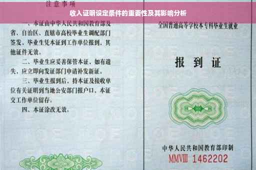 收入证明设定条件的重要性及其影响分析