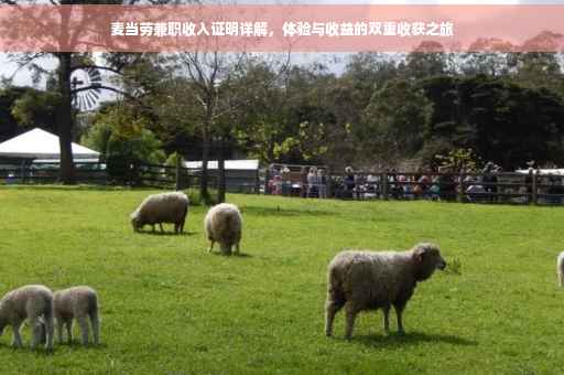 麦当劳兼职收入证明详解，体验与收益的双重收获之旅