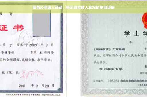 蓝色公章收入证明，揭示真实收入状况的关键证据