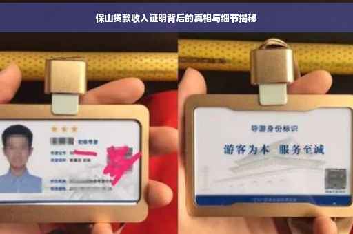 保山贷款收入证明背后的真相与细节揭秘