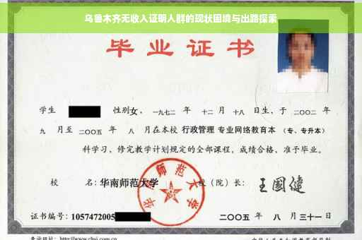 乌鲁木齐无收入证明人群的现状困境与出路探索