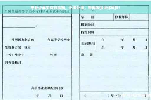 毕业证丢失应对指南，正确处理，警惕虚假证件风险！