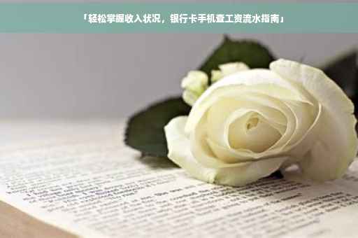「轻松掌握收入状况，银行卡手机查工资流水指南」
