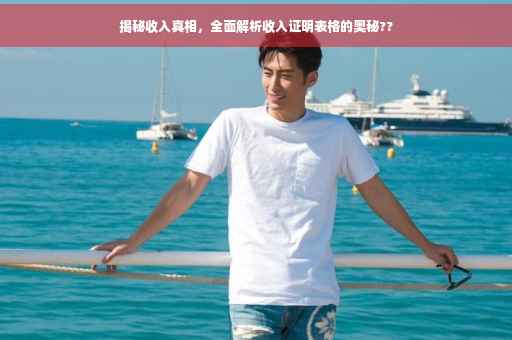 揭秘收入真相，全面解析收入证明表格的奥秘??